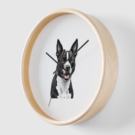 American Staffordshire Terrier (Hoek)