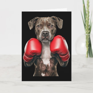 American Staffordshire Terrier Boksen  Kaart