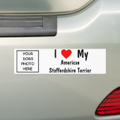 American Staffordshire Terrier Bumpersticker (Op auto)