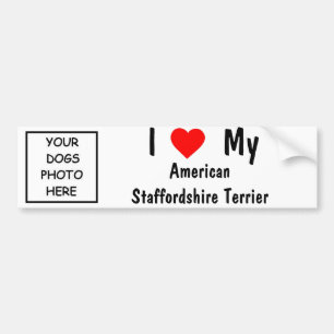 American Staffordshire Terrier Bumpersticker