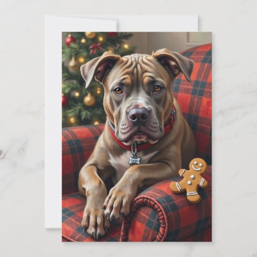 American Staffordshire Terrier Cozy Christmas Feestdagenkaart (Voorkant)