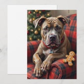American Staffordshire Terrier Cozy Christmas Feestdagenkaart (Voorkant / Achterkant)