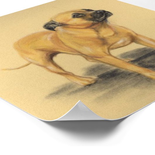 "American Staffordshire Terrier" Dog Art Print (Hoek)