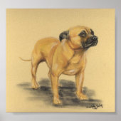 "American Staffordshire Terrier" Dog Art Print (Voorkant)