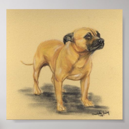 "American Staffordshire Terrier" Dog Art Print (Voorkant)