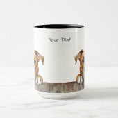 American Staffordshire Terrier Dog Mok (Midden)