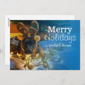 American Staffordshire Terrier Feestdagenkaart (Voorkant / Achterkant)