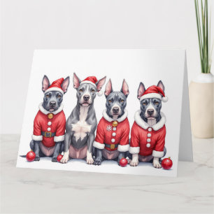 American Staffordshire Terrier Kerstjurk Kaart