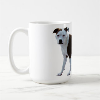 American Staffordshire Terrier Koffiemok