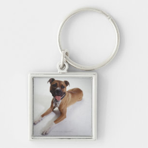 American Staffordshire Terrier ligt op straat Sleutelhanger