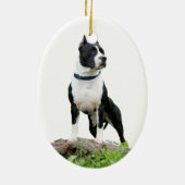 American Staffordshire Terrier (Pit Bull) Ornament (Achterkant)