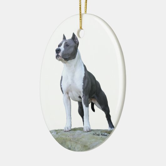 American Staffordshire Terrier (Pit Bull) Ornament (Links)