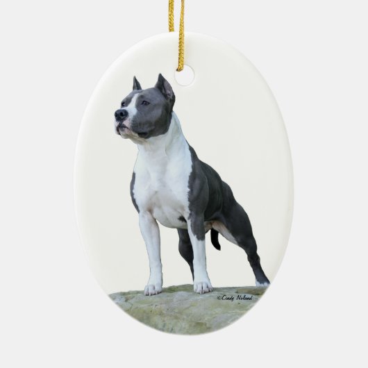 American Staffordshire Terrier (Pit Bull) Ornament (Achterkant)
