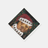 American Staffordshire Terrier Servet (Hoek)