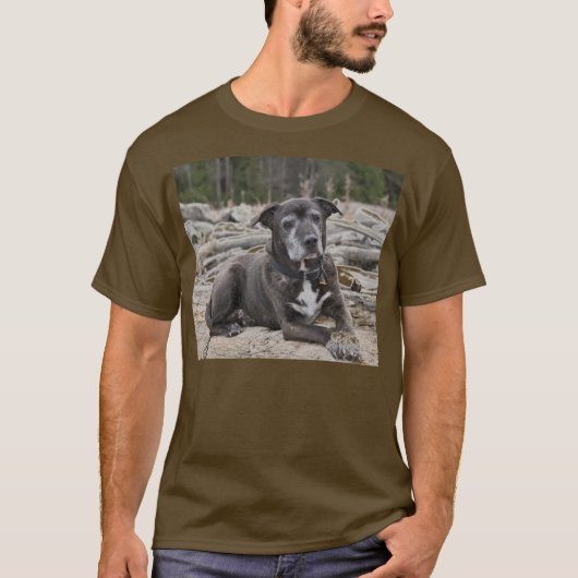 American Staffordshire Terrier - Shirten T-shirt (Voorkant)