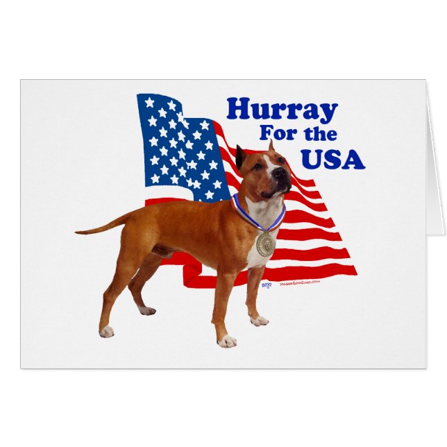 American Staffordshire Terrier USA (Voorkant Horizontaal)