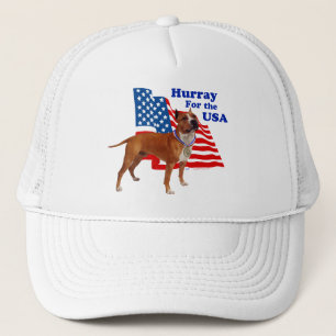 American Staffordshire Terrier USA Trucker Pet
