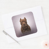 American Staffordshire Terrier Vierkante Sticker (Envelop)