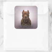 American Staffordshire Terrier Vierkante Sticker (Tas)
