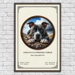 American Staffordshire Terrier Zoölogische Serie Poster