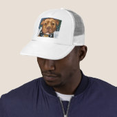 AMERICAN STAFFORDSHIRE TRUCKER PET (In situ)
