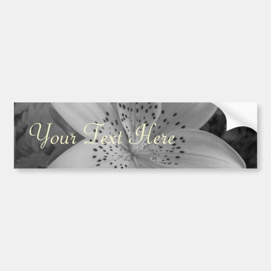 American Tiger Lily Bumpersticker (Voorkant)
