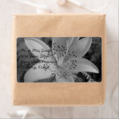 American Tiger Lily Etiket (Insitu)