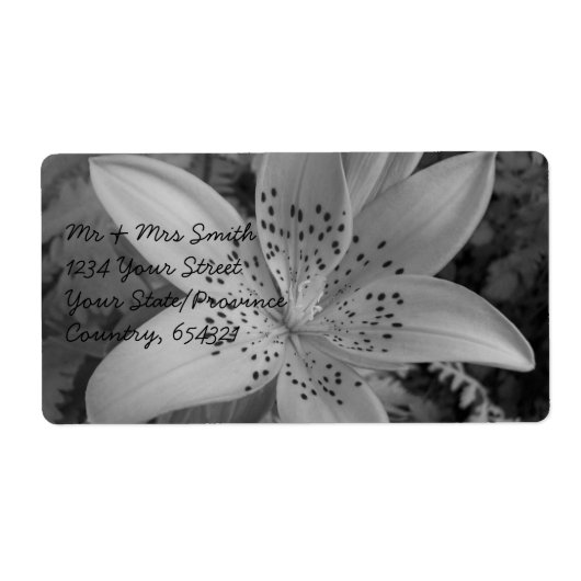 American Tiger Lily Etiket (Voorkant)