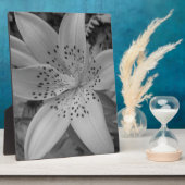 American Tiger Lily Fotoplaat (Zijkant)