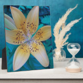 American Tiger Lily Fotoplaat (Zijkant)