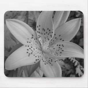American Tiger Lily Muismat