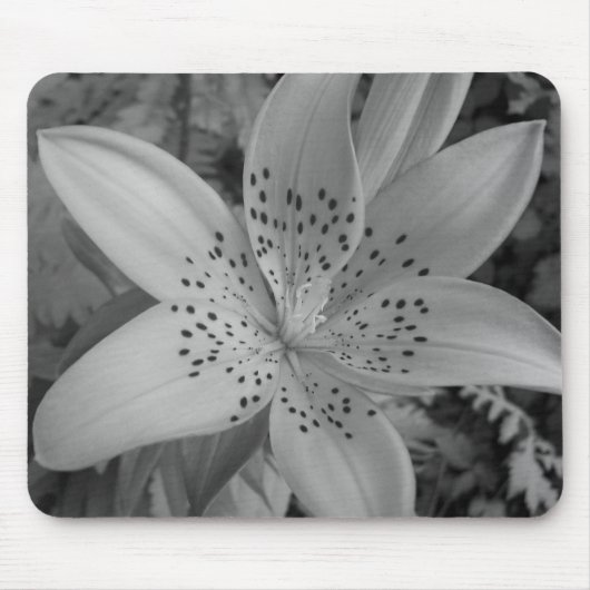 American Tiger Lily Muismat (Voorkant)