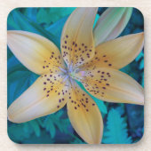 American Tiger Lily Onderzetter (Voorkant)