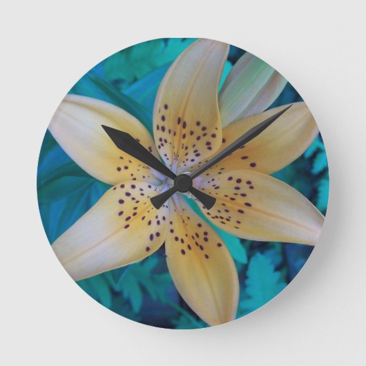 American Tiger Lily Ronde Klok (Voorkant)