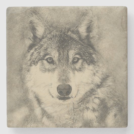 American Timber Wolf Pencil Tekening Stenen Onderzetter (Voorkant)