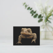 American Toad ATC Visitekaartje (Staand voorkant)