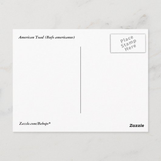 American Toad Briefkaart (Achterkant)