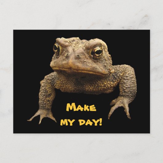 American Toad Briefkaart (Voorkant)