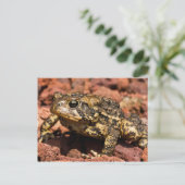 American Toad Briefkaart (Staand voorkant)