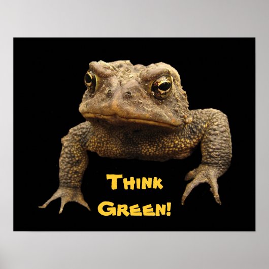 American Toad Earth Day Poster (Voorkant)