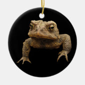 American Toad Keramisch Ornament (Voorkant)