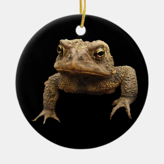 American Toad Keramisch Ornament (Voorkant)