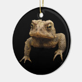 American Toad Keramisch Ornament (Links)