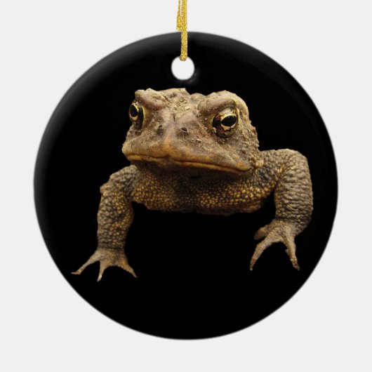 American Toad Keramisch Ornament (Achterkant)