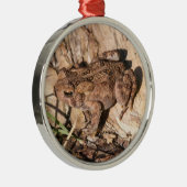 American Toad Metalen Ornament (Rechts)