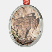 American Toad Metalen Ornament (Links)