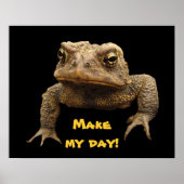 American Toad Poster (Voorkant)