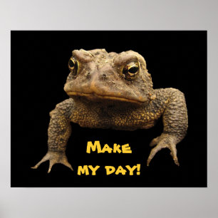 American Toad Poster