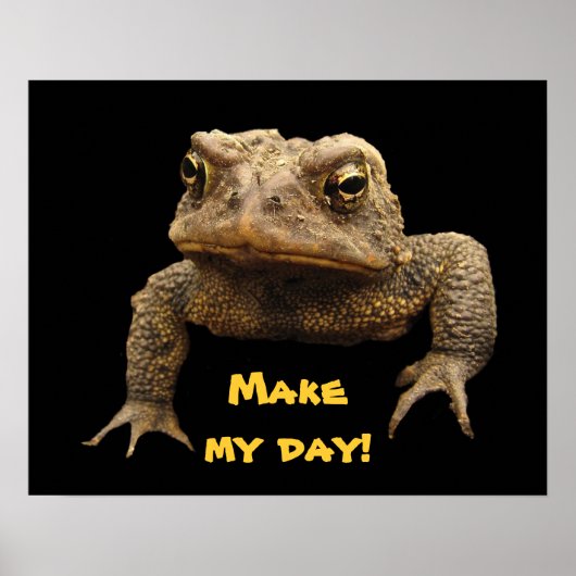 American Toad Poster (Voorkant)