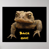 American Toad Poster (Voorkant)